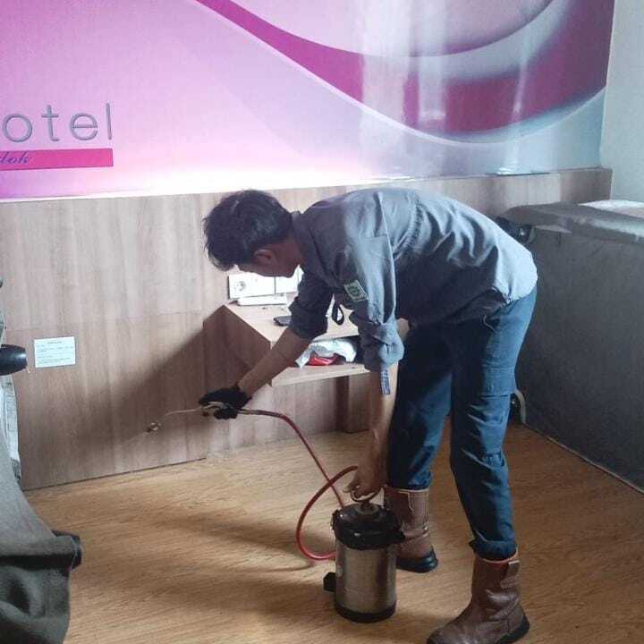 Room Treatment Pest Control Untuk  Favehotel LTC Glodok